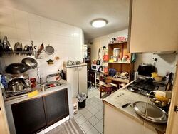 The Tanamera (D16), Condominium #498218301